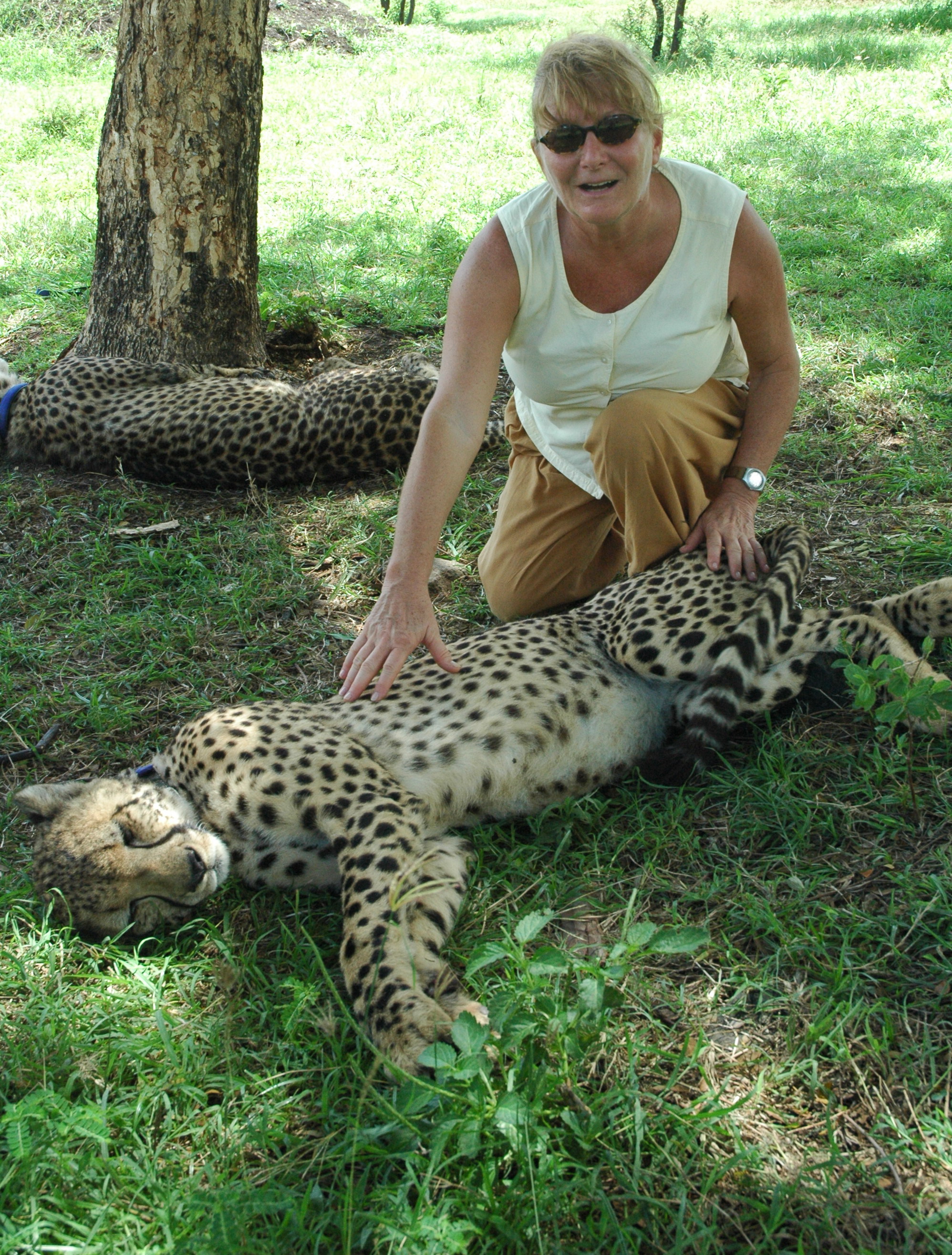 3. Sa gepardima u nacionalnom parku Kasela