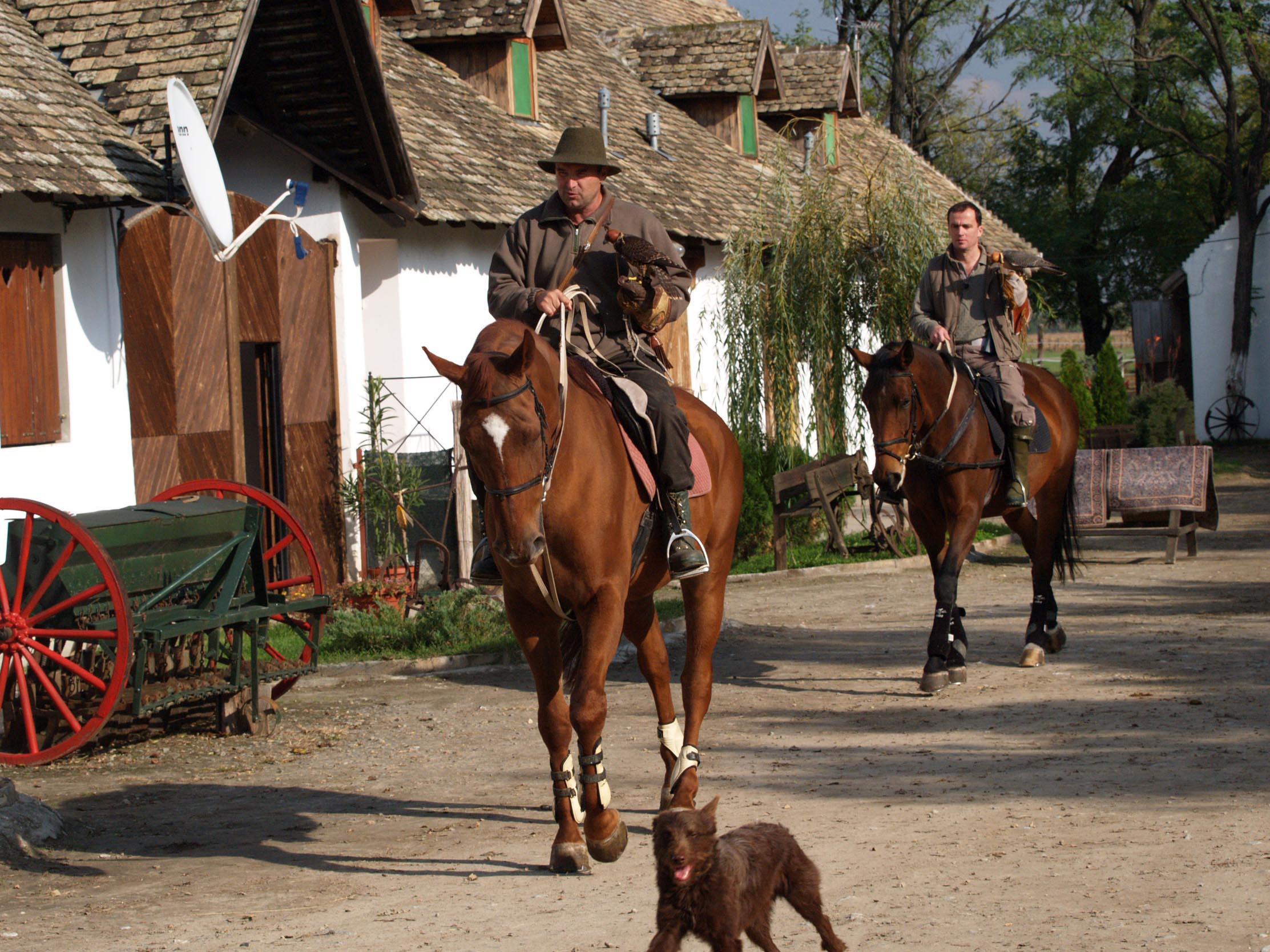 Vojvodina Banat Village List