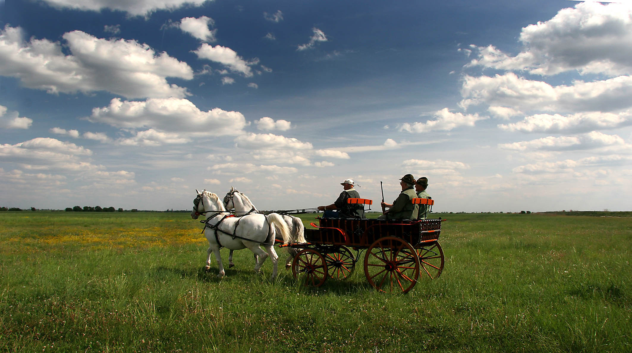 Tame heaven in the plains: Vojvodina is not territory, Vojvodina is  mentality - Diplomacy&Commerce