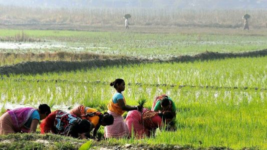 Agriculture Marketing Reforms in India