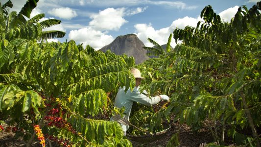 Nestlé’s net zero roadmap